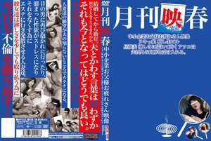 [月刊映春 中小企業お父様お疲れさん映像 ヌキっ娘 癒し生ピル 昼顔妻 淋しさに濡れて疼くアソコは夫以外の肉棒を受け入れる。]
