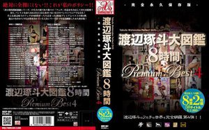 [渡辺琢斗大図鑑 8時間 Premium Best 4]