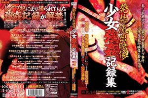 [発禁流出映像 少女強姦記録集]