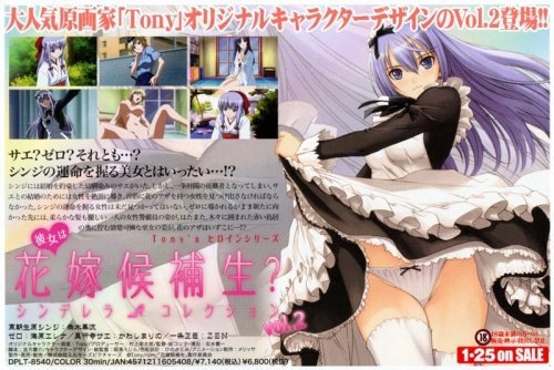 彼女は花嫁候補生? シンデレラコレクション vol.2