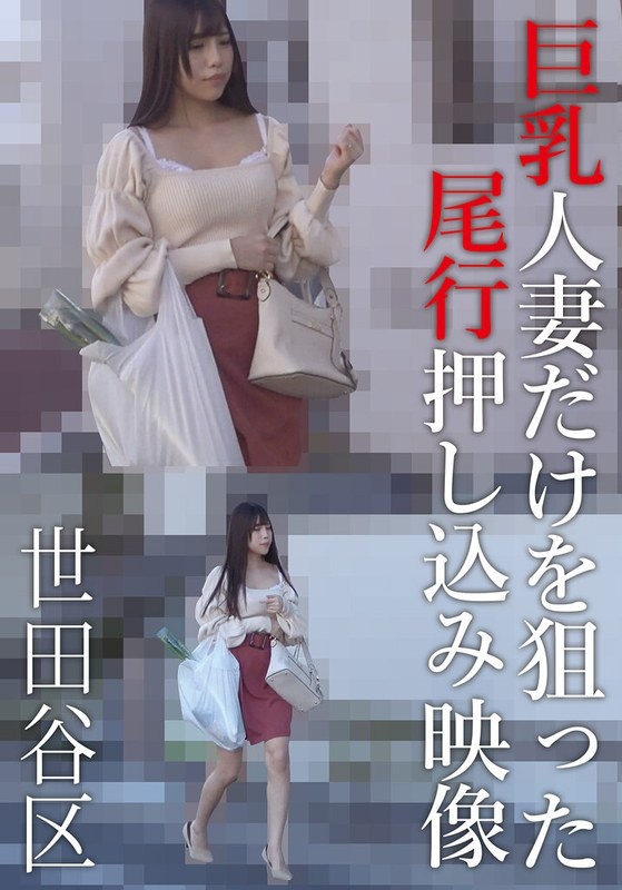 只追随推搡大胸已婚女性的视频 世田谷区