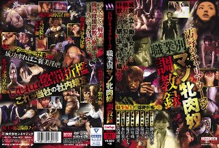 [汚辱のキャリアウーマン 職業別マゾ牝肉奴調教録]