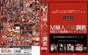 [M婦人不倫調教コレクション2]