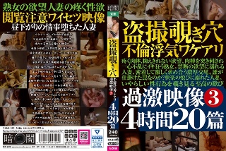 [盗撮覗き穴不倫浮気ワケアリ過激映像 3 4時間20篇]
