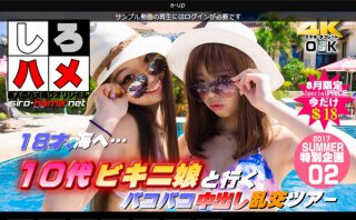 [１８才、海へ…【Summer企画第２段】これは抜ける！１０代ビキニ娘と行くバコバコ中出し乱交ツアー（今だけプライス！）]