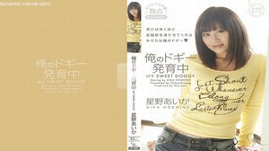 [星野あいか - 俺のドギー発育中]