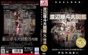 [渡辺琢斗大図鑑 8時間 Premium Best 5]