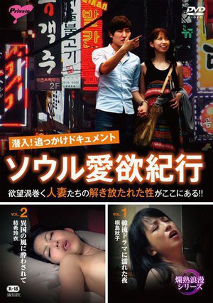[潜入！追っかけドキュメント ソウル愛欲紀行]