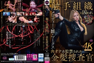 Melody Hina Marks，金发调查员，被触手组织抓获并进行肉自慰