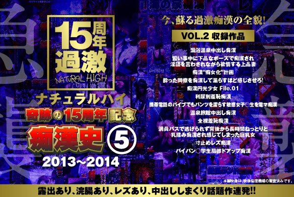 ナチュラルハイ奇跡の15周年記念 痴漢史(5)2013-2014 VOL.2
