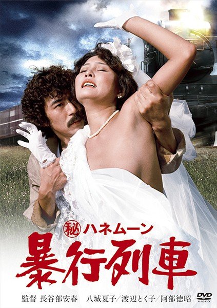 (秘)ハネムーン 暴行列車