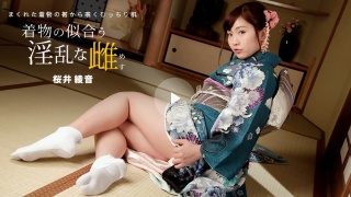 [着物の似合う淫乱な雌]
