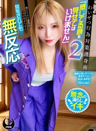 わいせつ行為対策護身術「感じてる顔を見せてはいけません」2 感じてると暴漢をつけあがらせる!何をされても無反応 喧嘩上等レディース総長ギャルAKARI