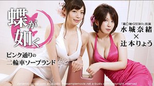 [蝶が如く 〜ピンク通りの二輪車ソープランド〜 辻本りょう 水城奈緒]