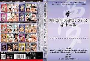 [非日常的悶絶コレクション 第十二集]