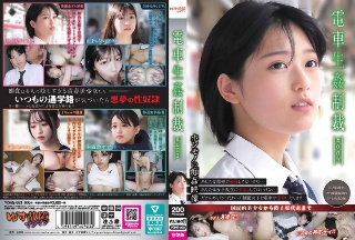 [電車生姦制裁 ＃003]