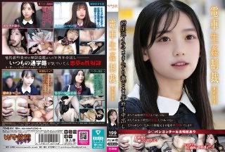電車生姦制裁 #014
